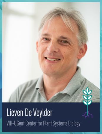 Lieven De Veylder