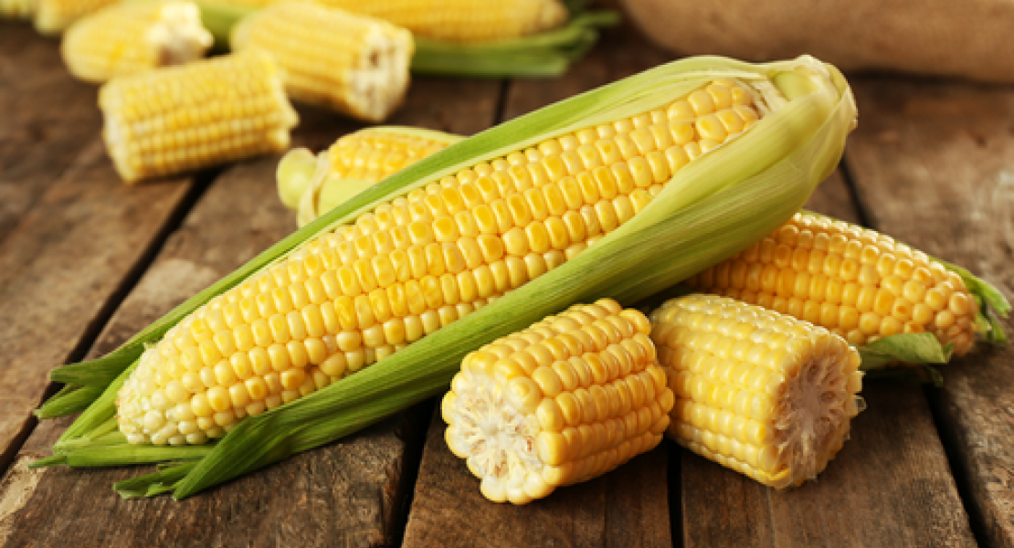 maize